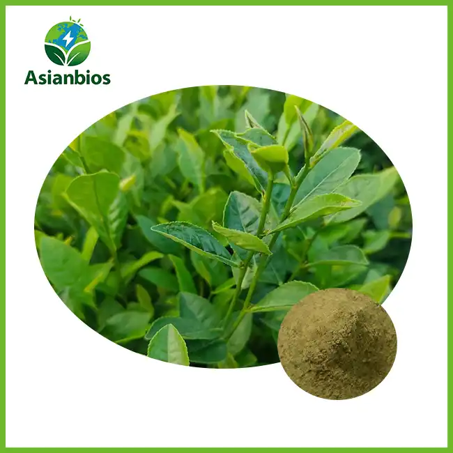 Green Tea Extract Bulk